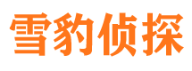 易门市侦探调查公司